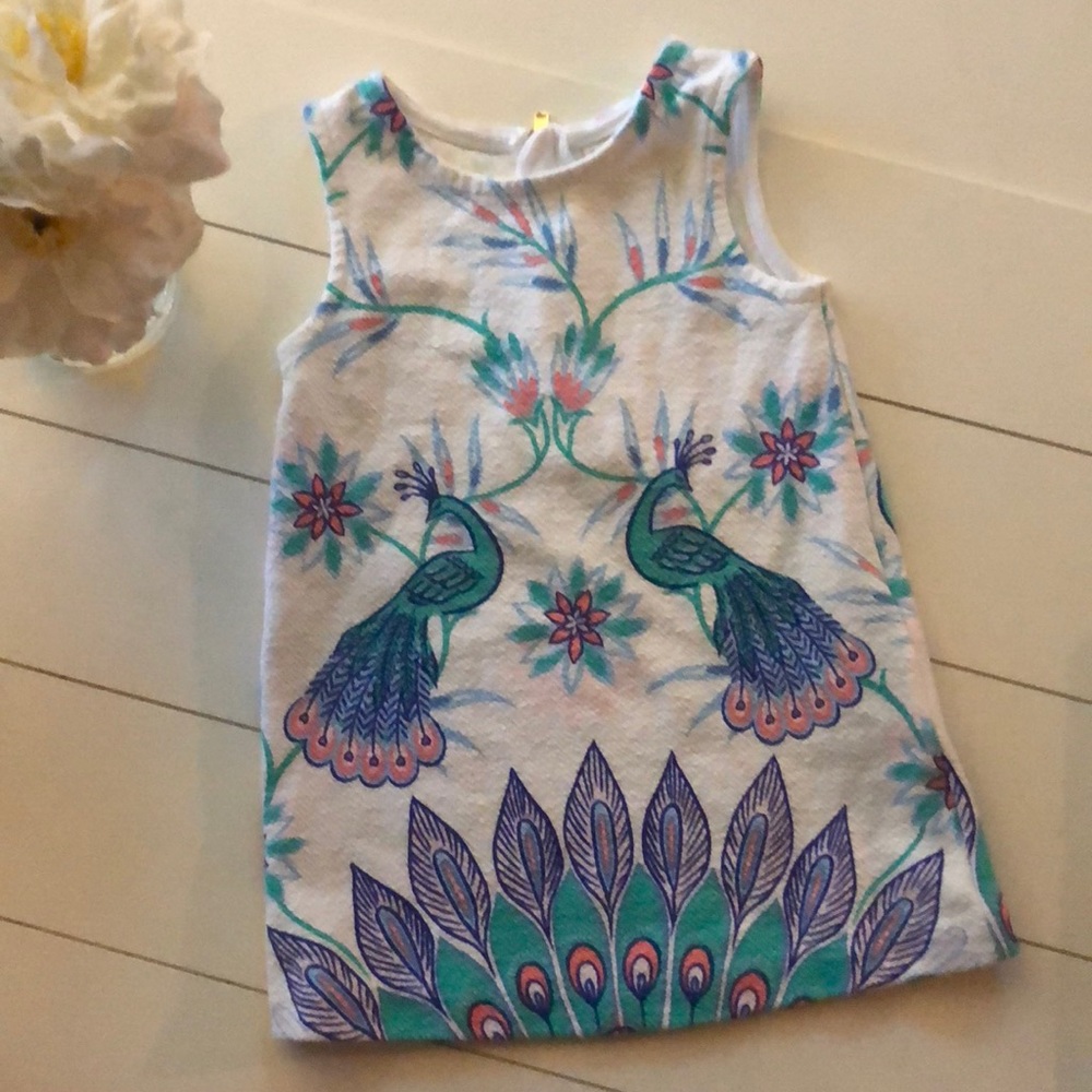 OshKosh Genuine Kids Dress Size 18M